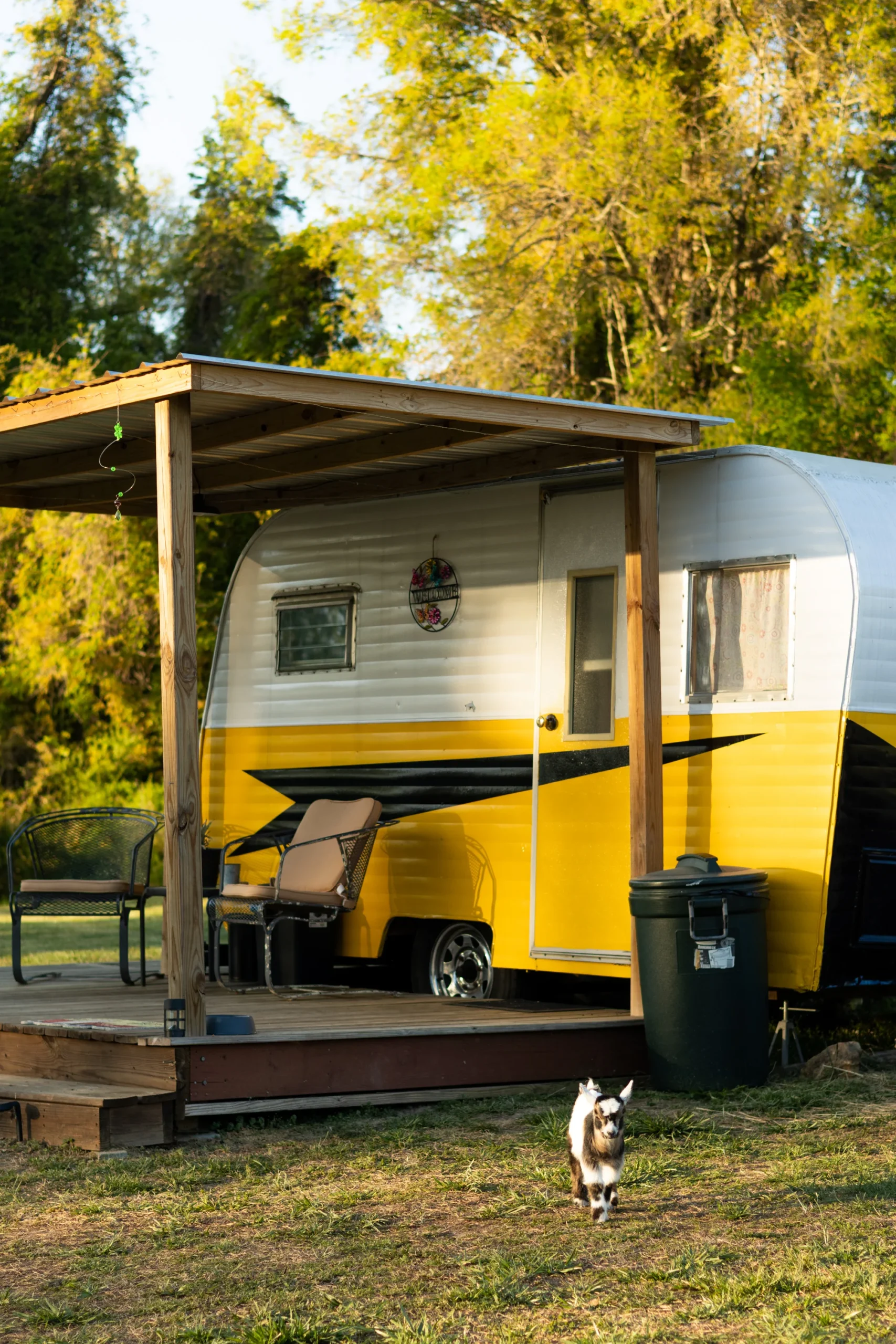 Yellow_Sub_Hipcamp_-24